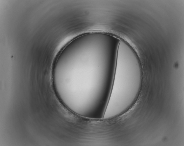 X0000091581469200708201002