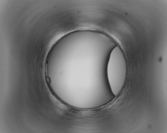 X0000091581471200708201002
