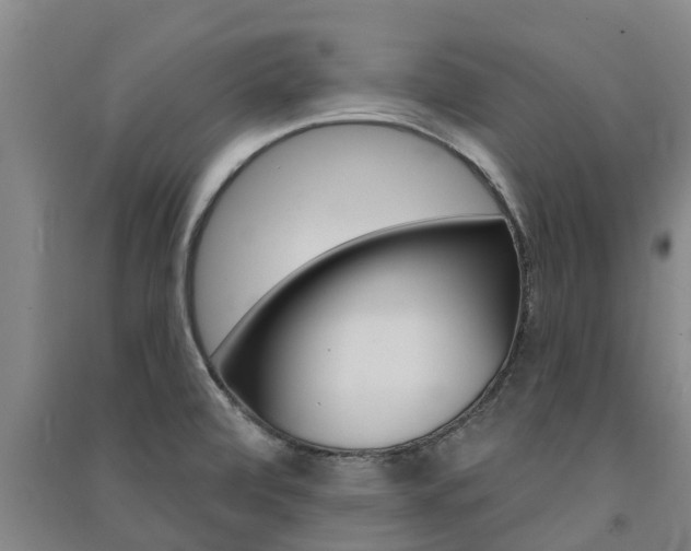 X0000091581472200708201002