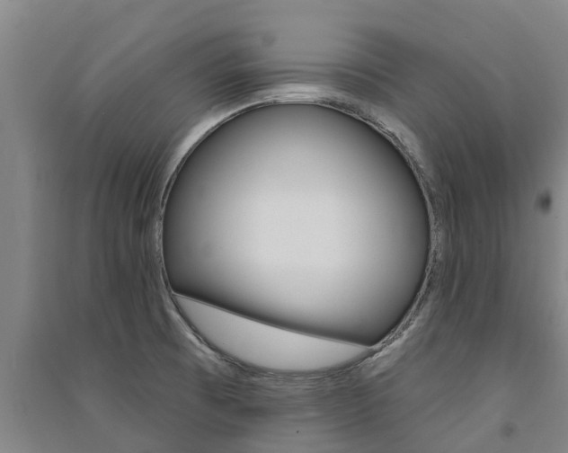 X0000091581473200708201002
