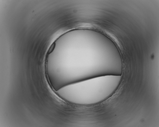 X0000091581475200708201002