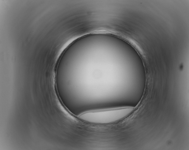 X0000091581476200708201002