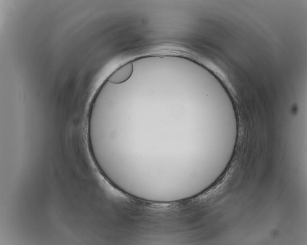 X0000091581478200708201002