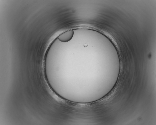 X0000091581482200708201002