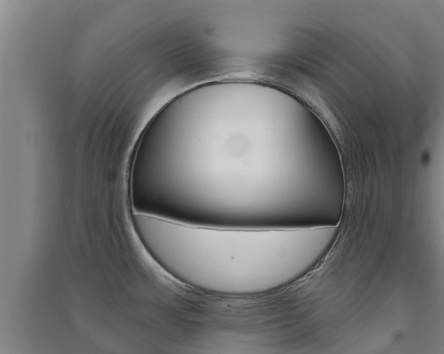 X0000091581483200708201002