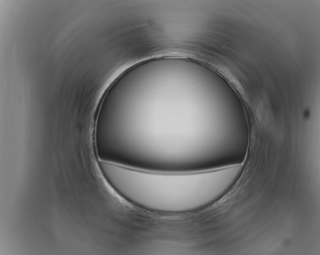 X0000091581484200708201002
