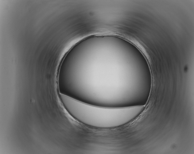 X0000091581485200708201002