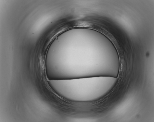 X0000091581487200708201002