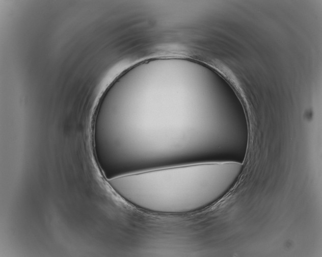 X0000091581488200708201002