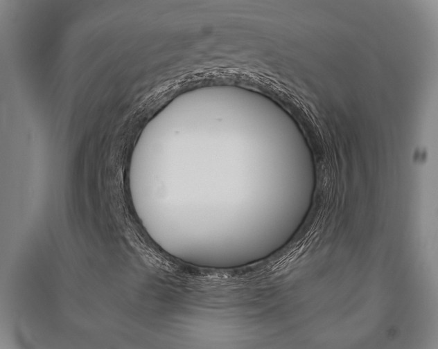 X0000091581489200708201001
