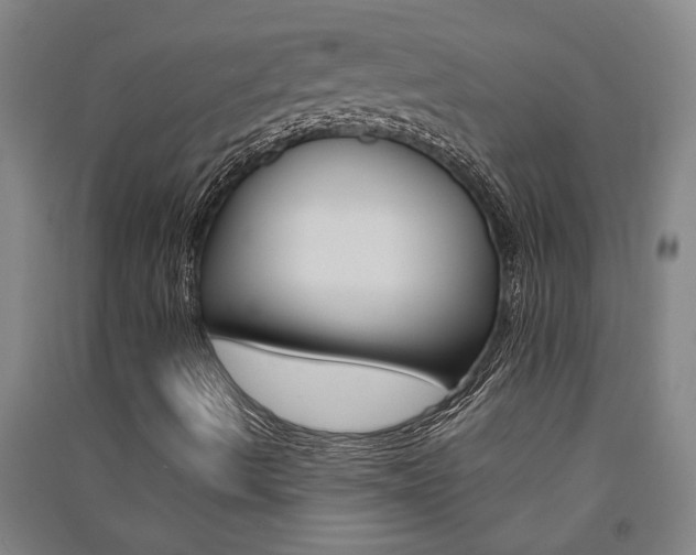 X0000091581490200708201001