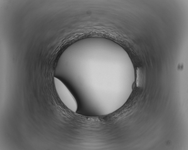 X0000091581491200708201001