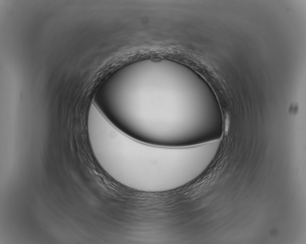 X0000091581492200708201001