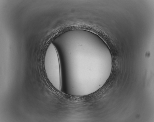 X0000091581493200708201001