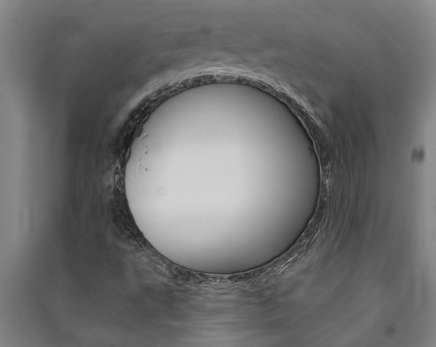 X0000091581495200708201001