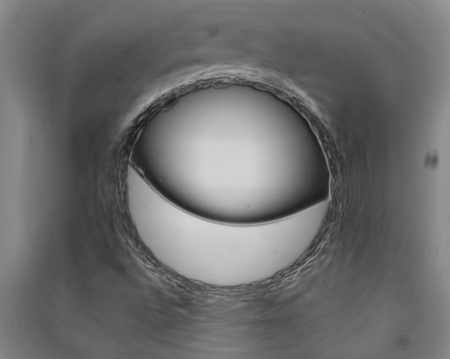 X0000091581496200708201002