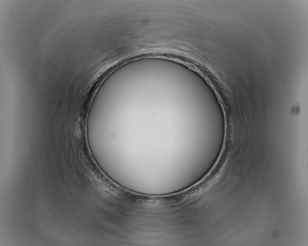X0000091581497200708201002