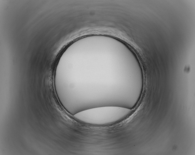 X0000091581498200708201002
