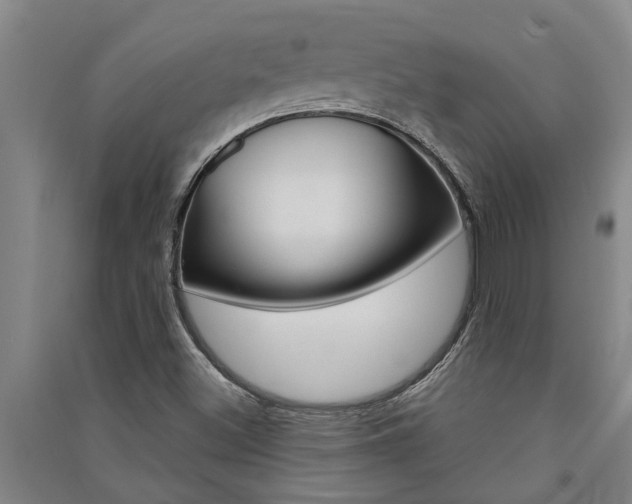 X0000091581500200708201002