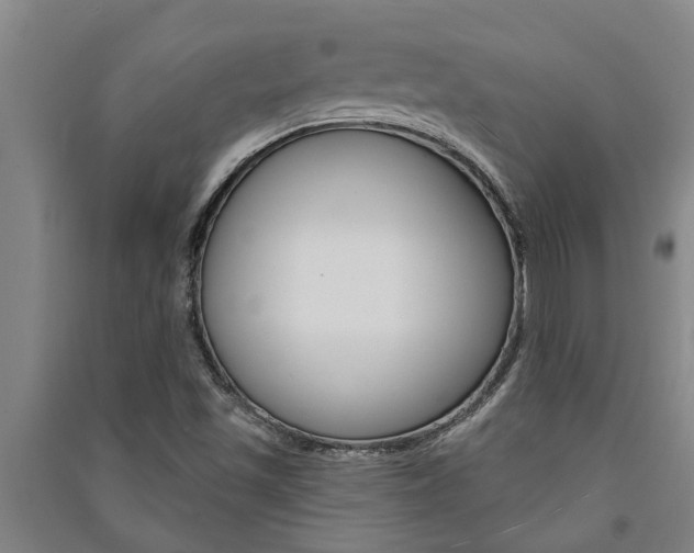 X0000091581501200708201002