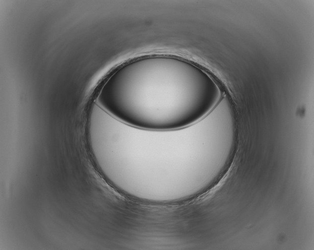 X0000091581502200708201002