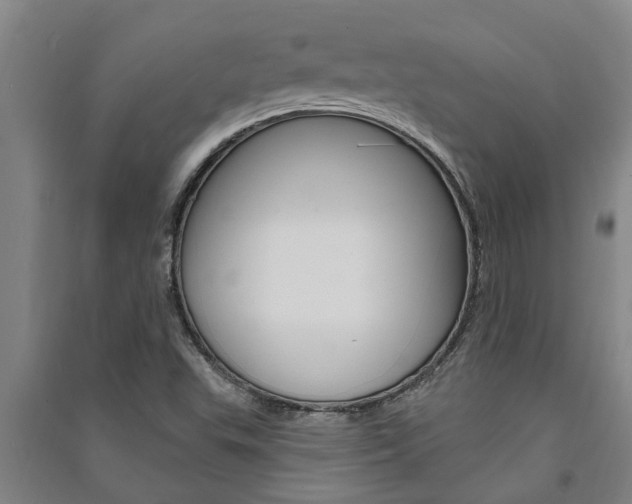X0000091581503200708201002