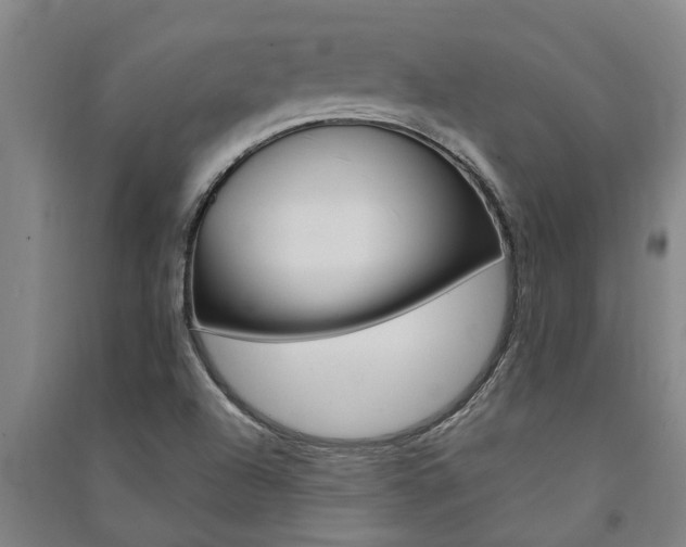 X0000091581504200708201002
