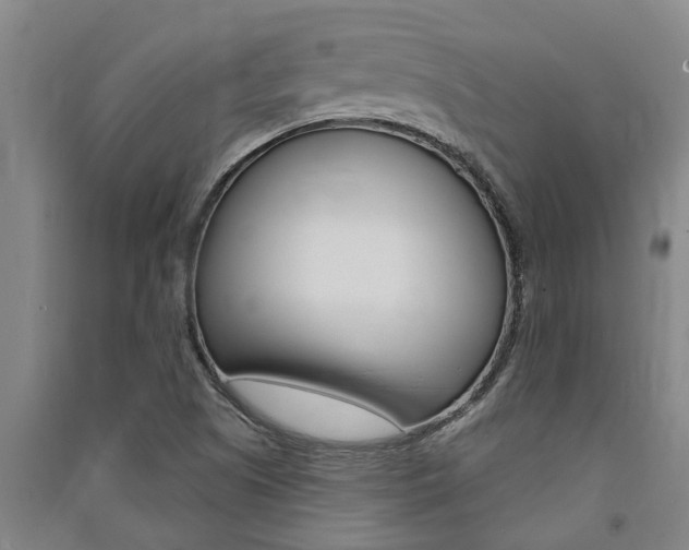 X0000091581505200708201002