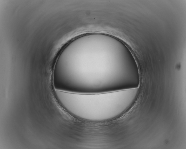X0000091581507200708201002