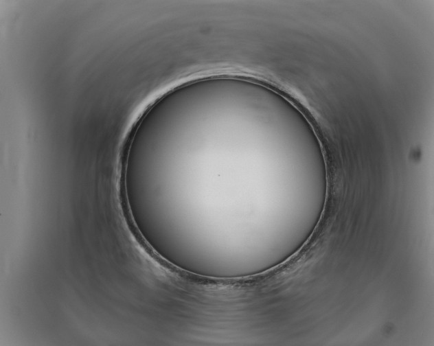 X0000091581508200708201002