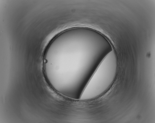 X0000091581511200708201002