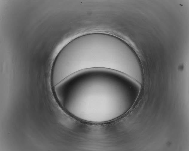 X0000091581512200708201002