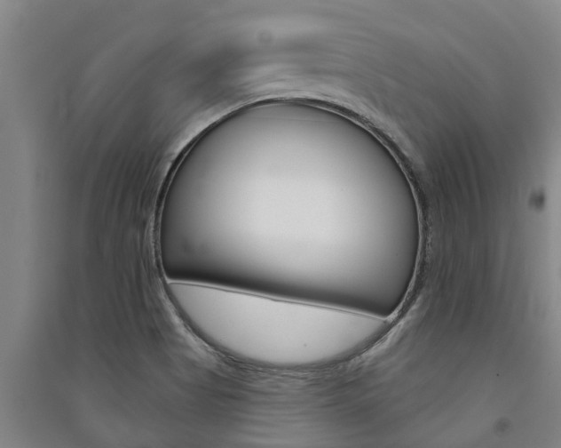 X0000091581513200708201002