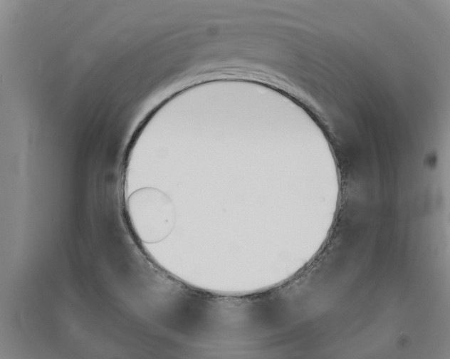 X0000091581514200708201002