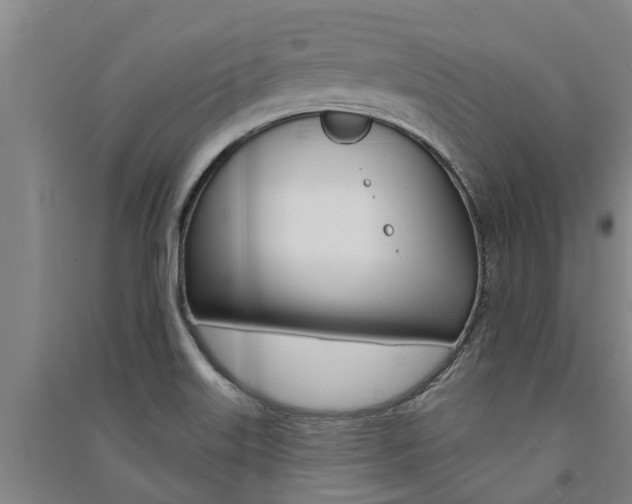 X0000091581515200708201002