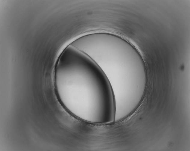 X0000091581516200708201002