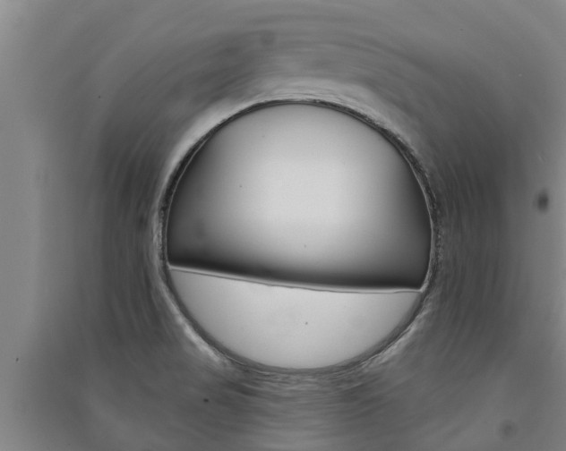 X0000091581517200708201002