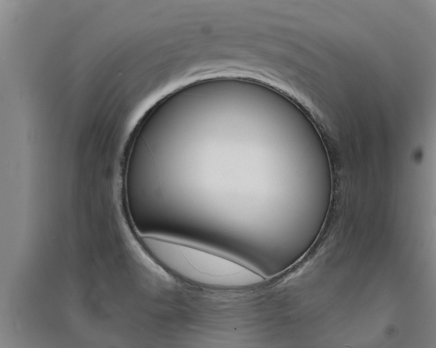 X0000091581518200708201002