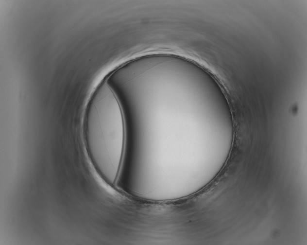 X0000091581519200708201002
