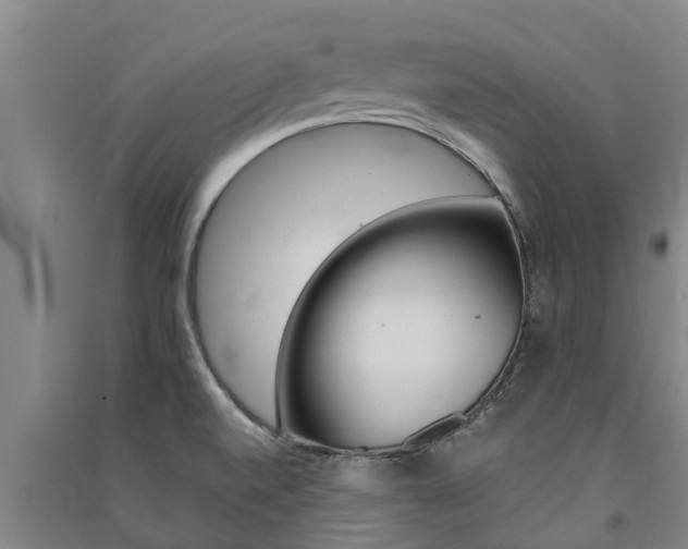 X0000091581520200708201002
