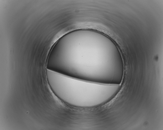 X0000091581521200708201002