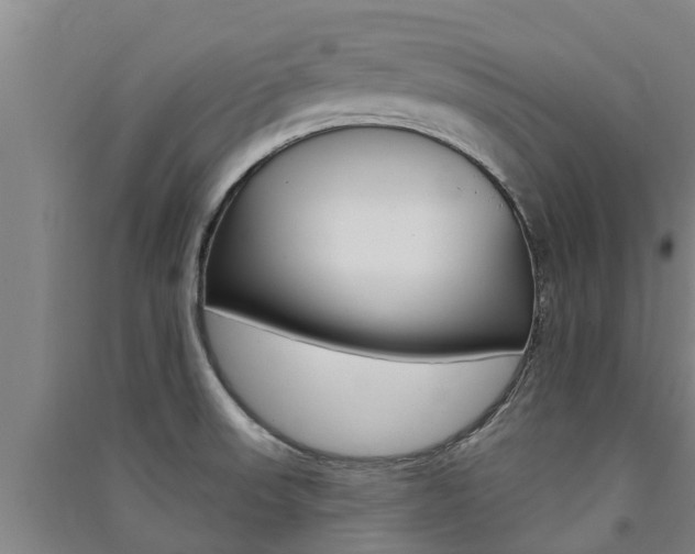 X0000091581523200708201002