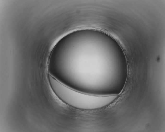 X0000091581524200708201002