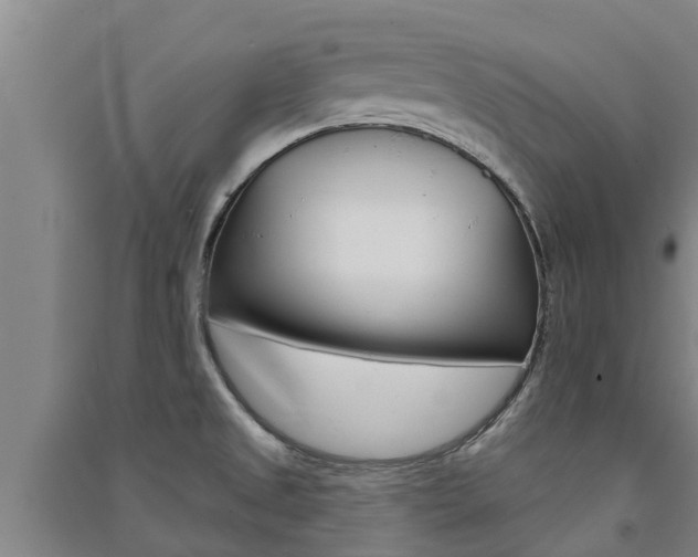 X0000091581525200708201002