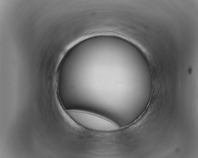 X0000091581526200708201002
