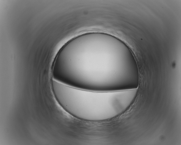 X0000091581527200708201002