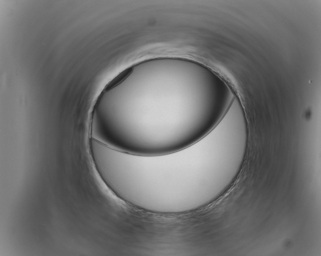 X0000091581528200708201002