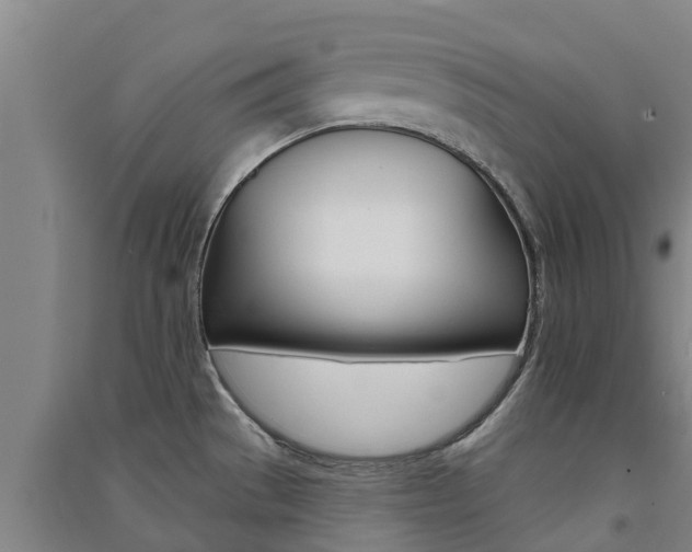 X0000091581529200708201002