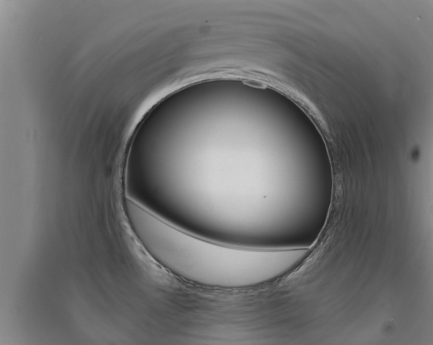 X0000091581530200708201002