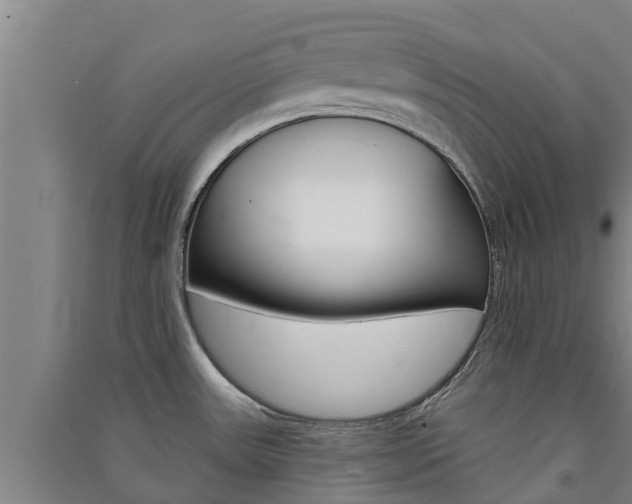 X0000091581531200708201002